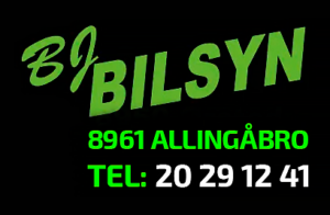 Motorfestival BJ-Bilsyn